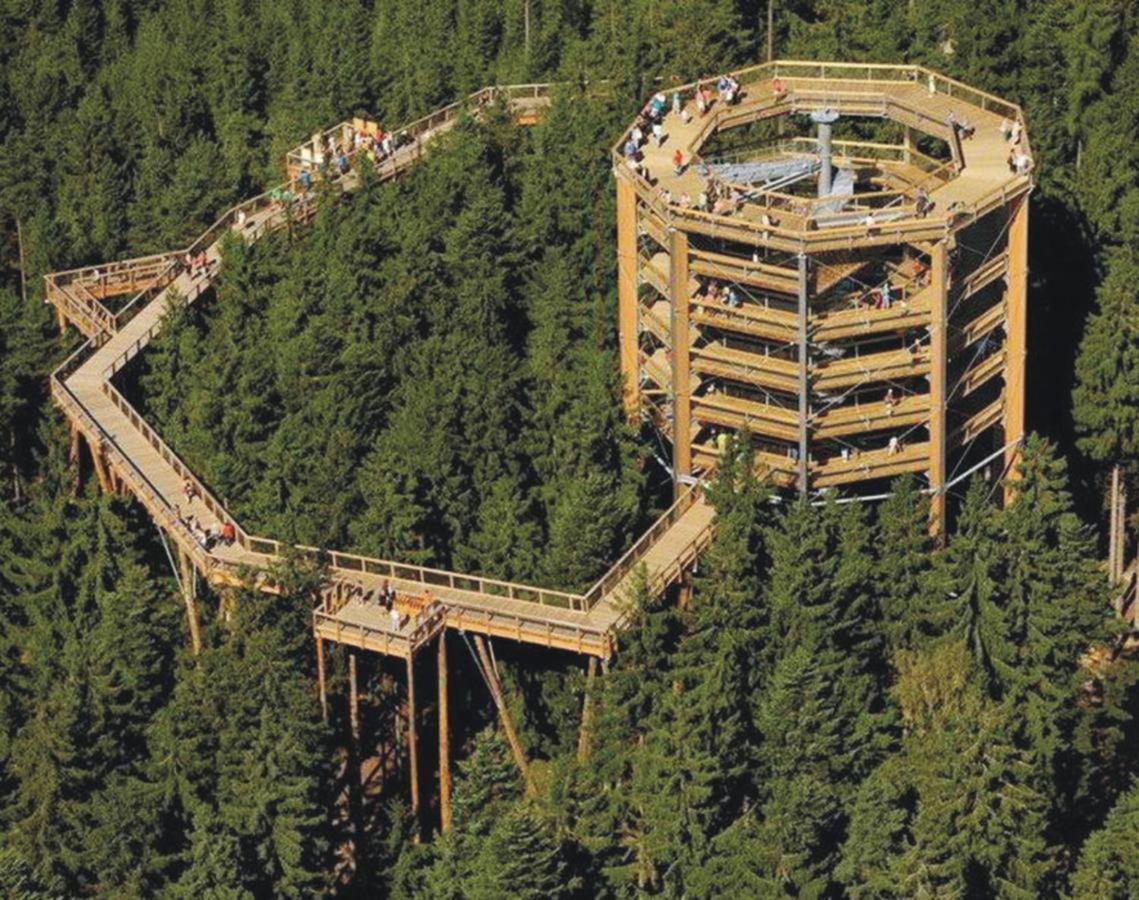 Apartamento Apartmán Janské lázně *