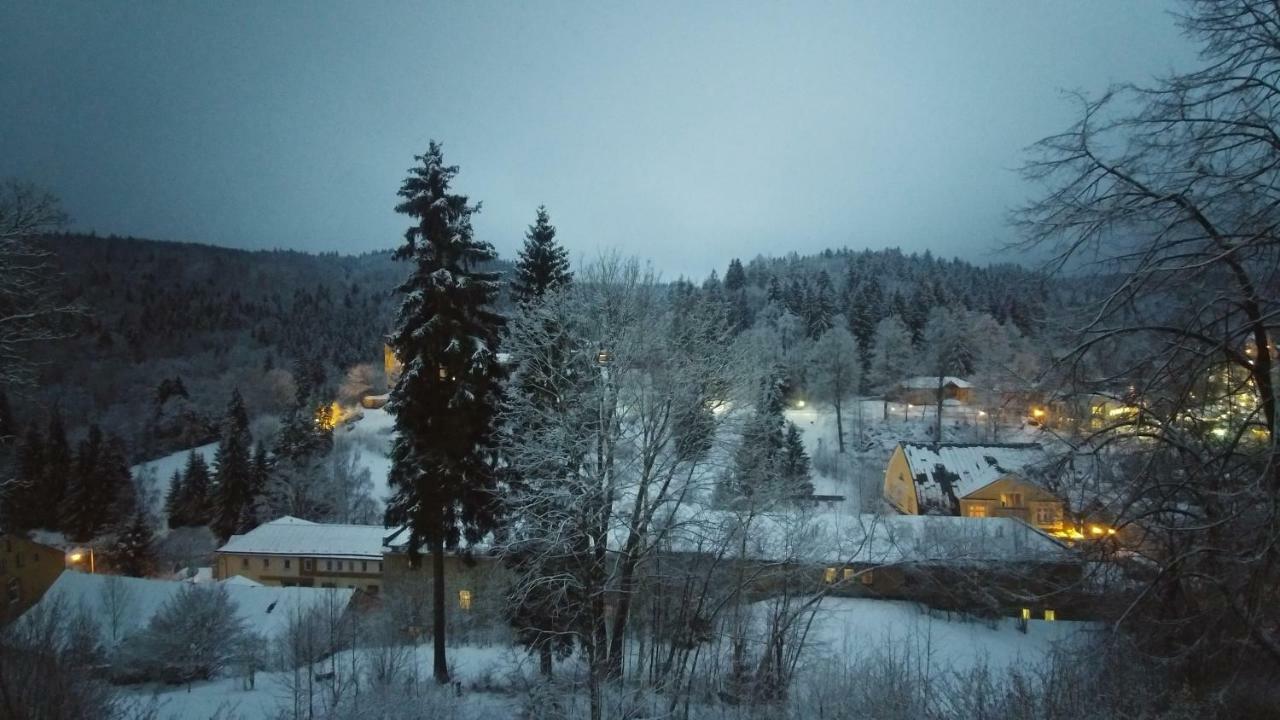 Apartamento Apartmán Janské lázně *